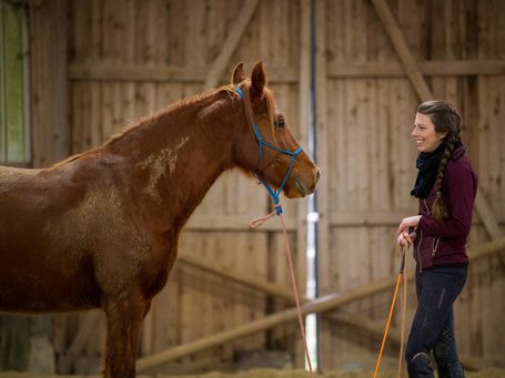 Horsemanship