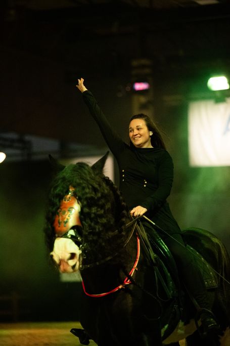 Shire Horse Showteam