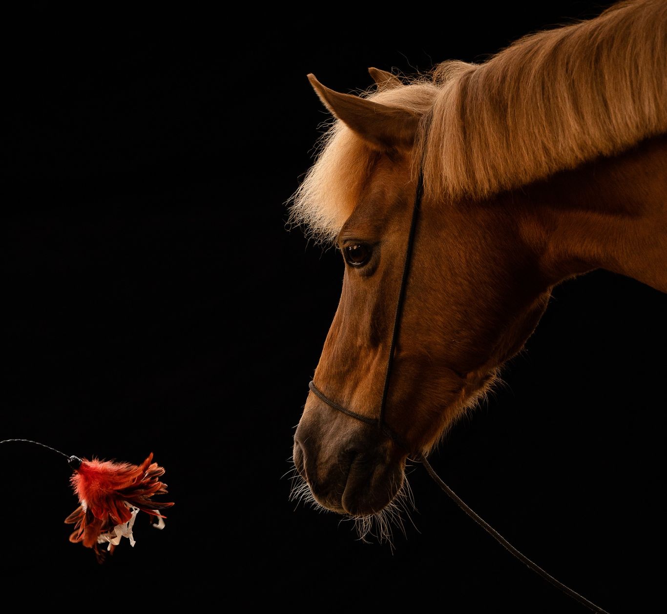 Fotoshooting Tipps & Tricks