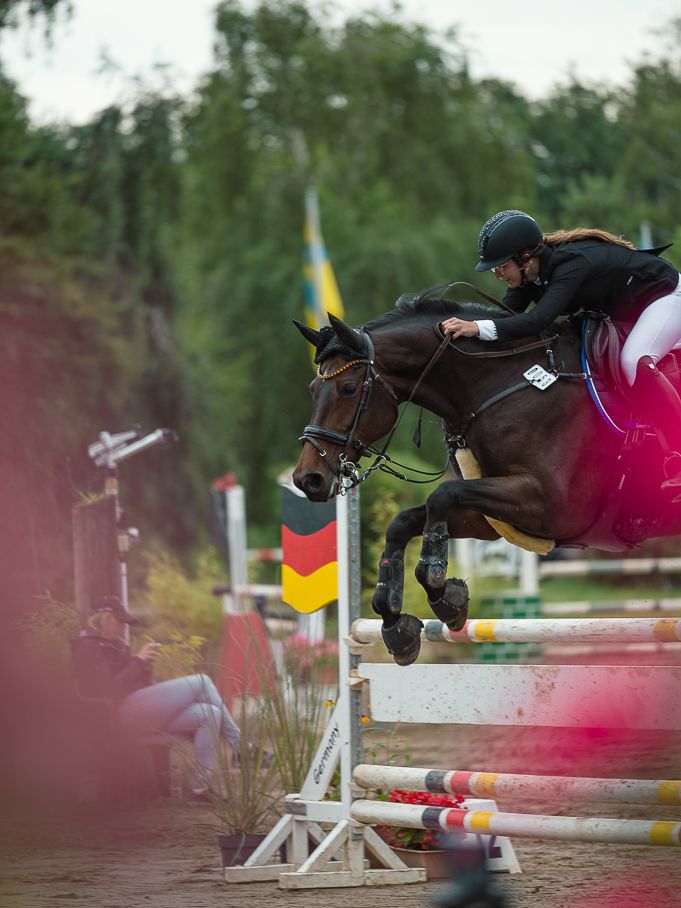 Springreiten