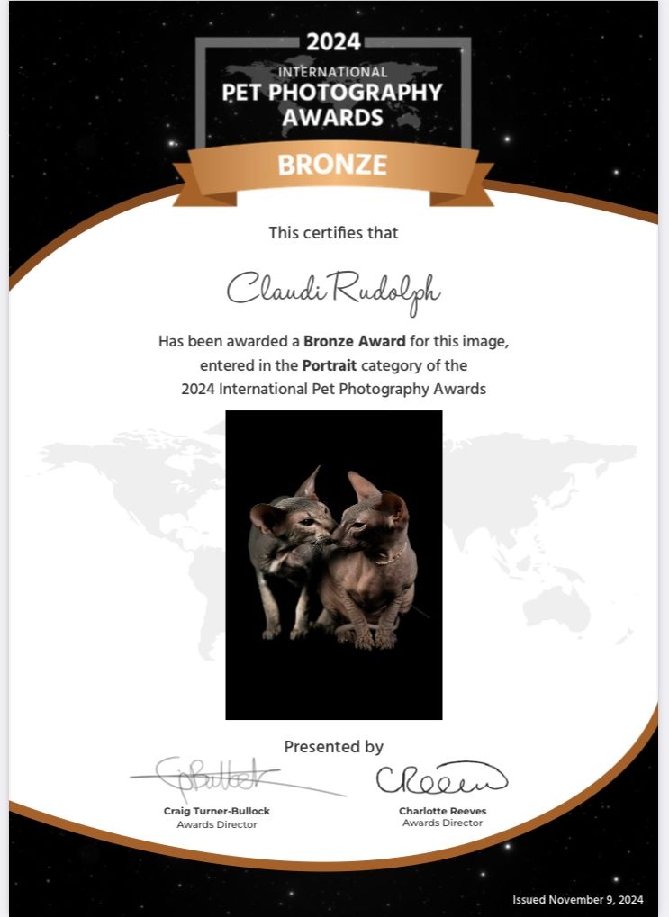 International Pet Photography Award 2024 Bronze